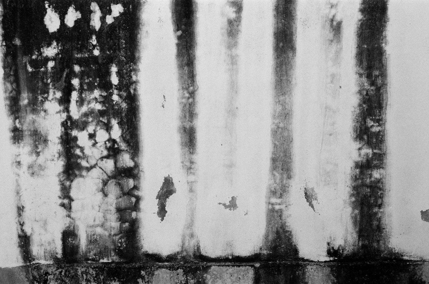 TEA HOUSE PANTS/INK PAINT VELVET