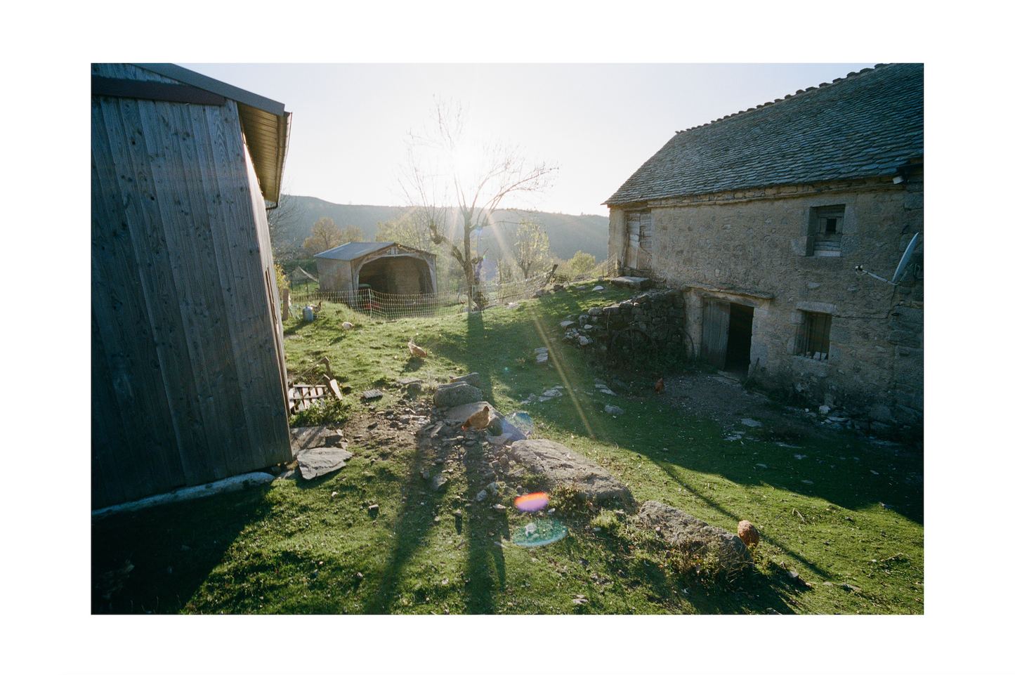 25AW LOZÉRE POSTER / LE VILLARET FARM