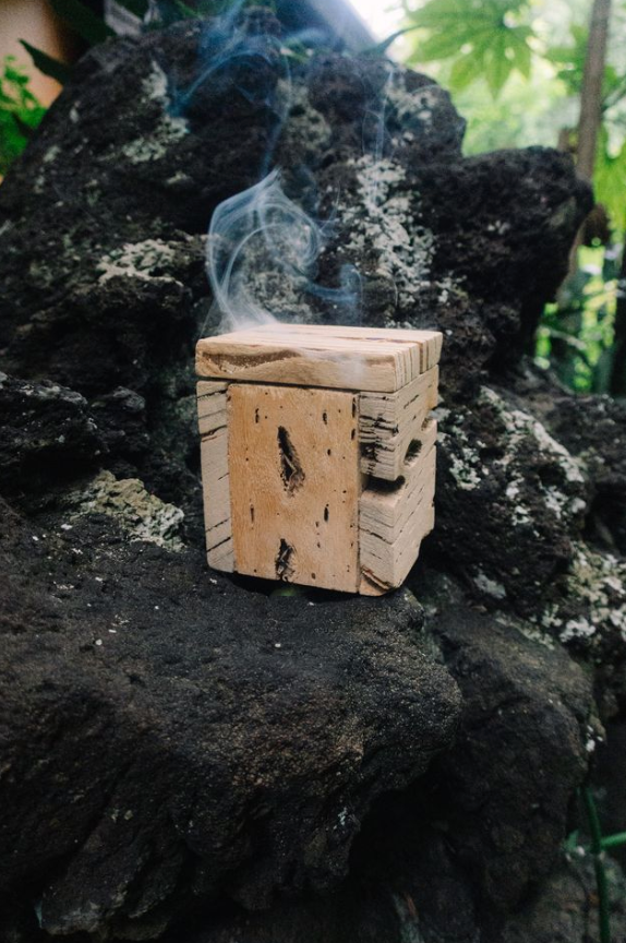 BEACH INCENSE IN CACTUS