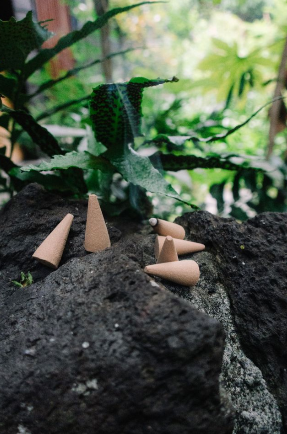 BEACH INCENSE IN CACTUS